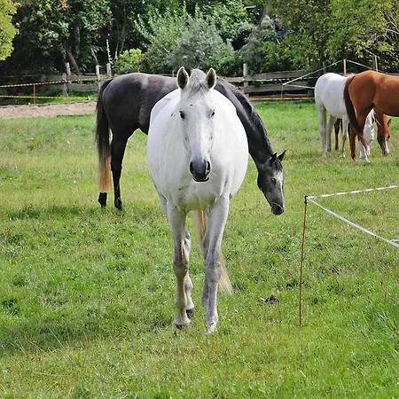 Gutshaus Zicker In Garz *