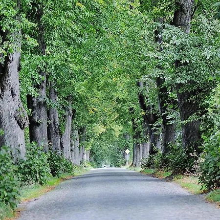 Gutshaus Zicker In Garz * Garz (Rugen)
