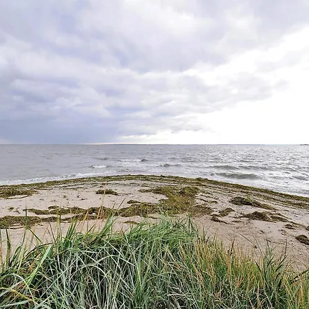 Gutshaus Zicker In Garz Ferienhaus Garz (Rugen)