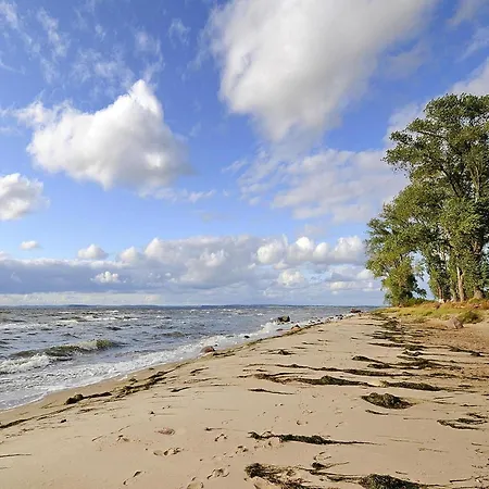 Gutshaus Zicker In Garz Ferienhaus