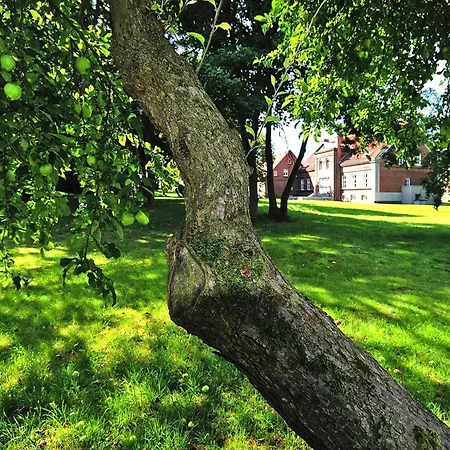 Ferienhaus Gutshaus Zicker In Garz Garz (Rugen)
